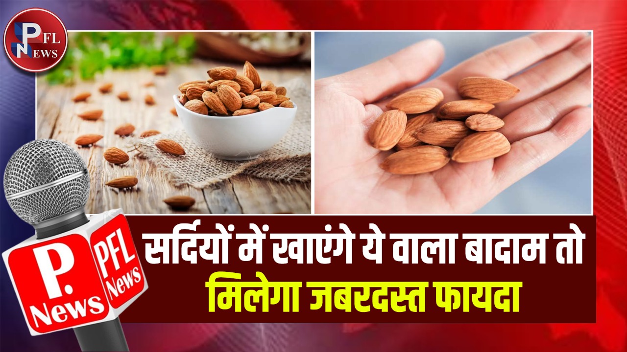 PFL News - सर्दियों में खाएंगे ये वाला बादाम तो मिलेगा जबरदस्त फायदा