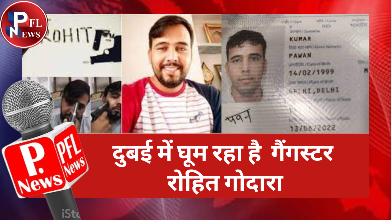 PFL News - दुबई में घूम रहा है  गैंगस्टर रोहित गोदारा