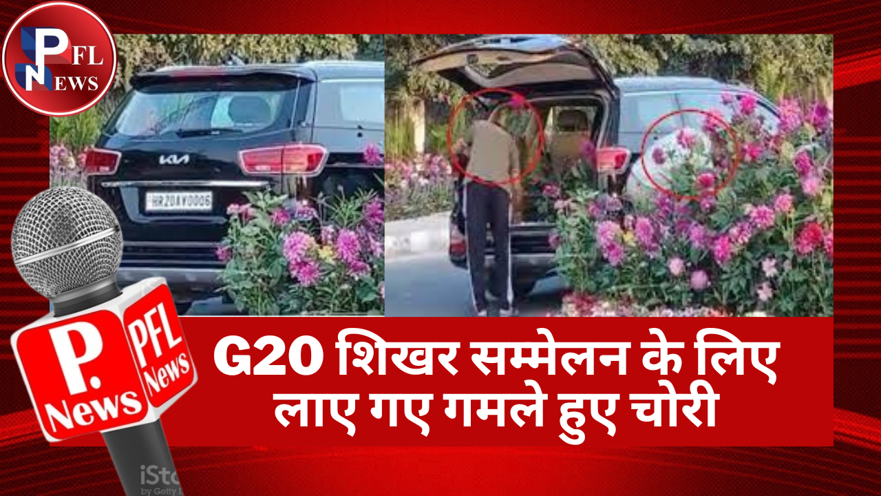 PFL News - G20 शिखर सम्मेलन के लिए लाए गए गमले हुए चोरी
