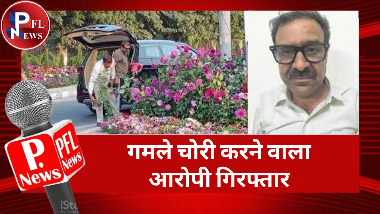 PFL News - गमले चोरी करने वाला आरोपी गिरफ्तार