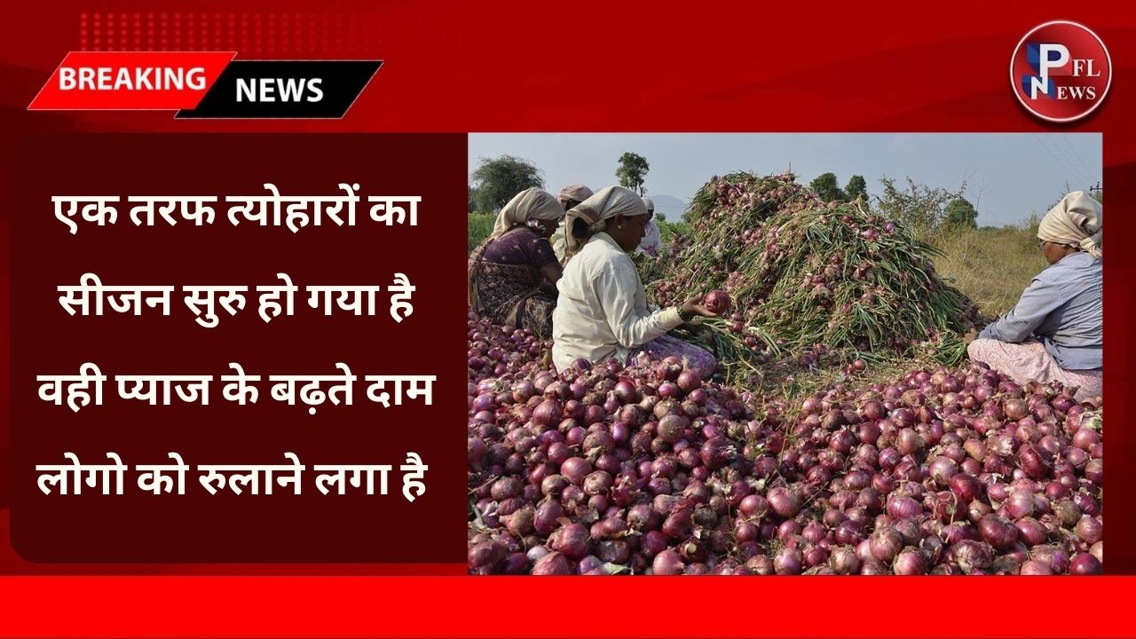 PFL News - Onion Price : एक तरफ त्योहारों का सीजन सुरु हो गया है वही प्याज के बढ़ते दाम रुलाने लोगो को रुलाने लगा है 