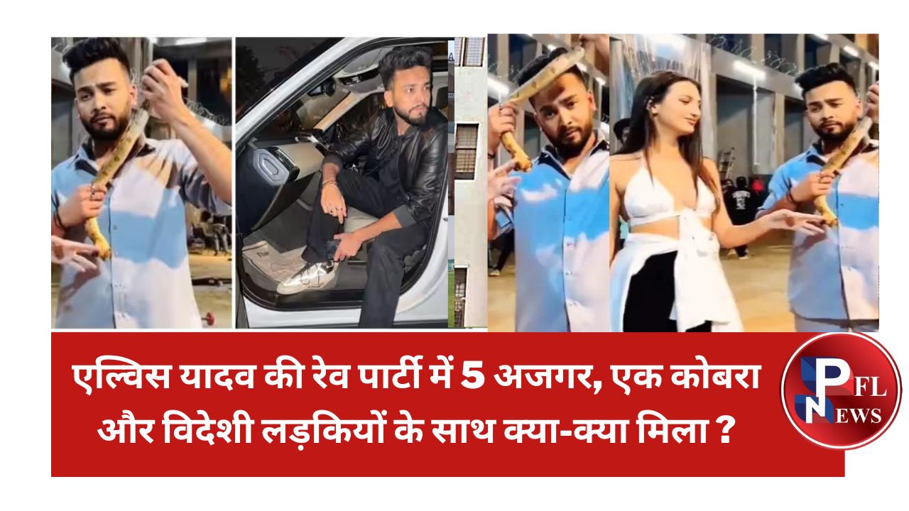 PFL News - एल्विस यादव की रेव पार्टी में 5 अजगर, एक कोबरा और विदेशी लड़कियों के साथ क्या-क्या मिला ? PFL News - एल्विस यादव की रेव पार्टी में 5 अजगर, एक कोबरा और विदेशी लड़कियों के साथ क्या-क्या मिला ?
