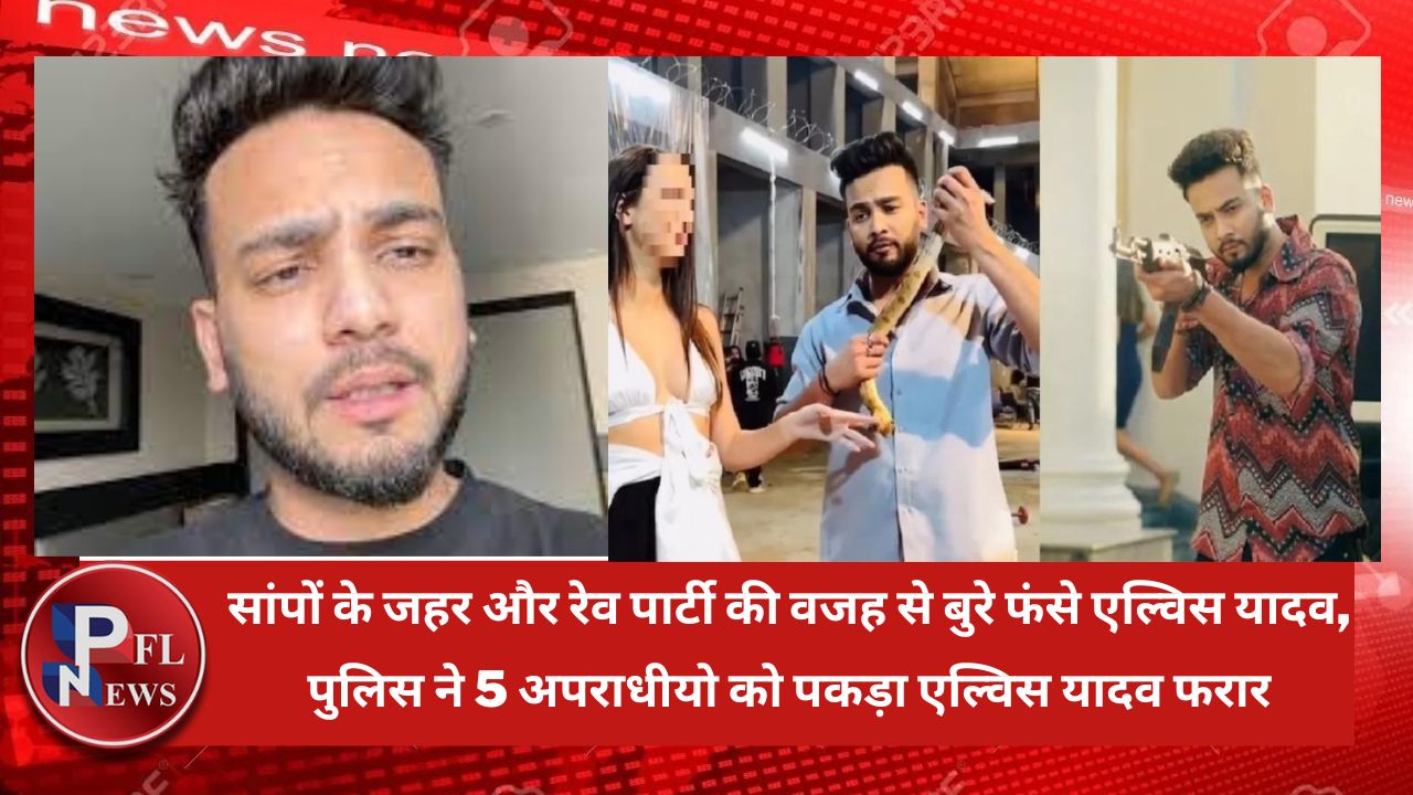 PFL News - सांपों के जहर और रेव पार्टी की वजह से बुरे फंसे एल्विस यादव, पुलिस ने 5 अपराधीयो को पकड़ा एल्विस यादव फरार PFL News - सांपों के जहर और रेव पार्टी की वजह से बुरे फंसे एल्विस यादव, पुलिस ने 5 अपराधीयो को पकड़ा एल्विस यादव फरार